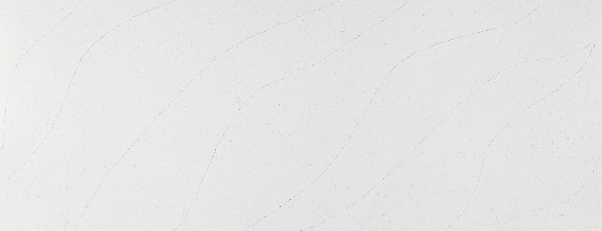5501 DREAMY (1)